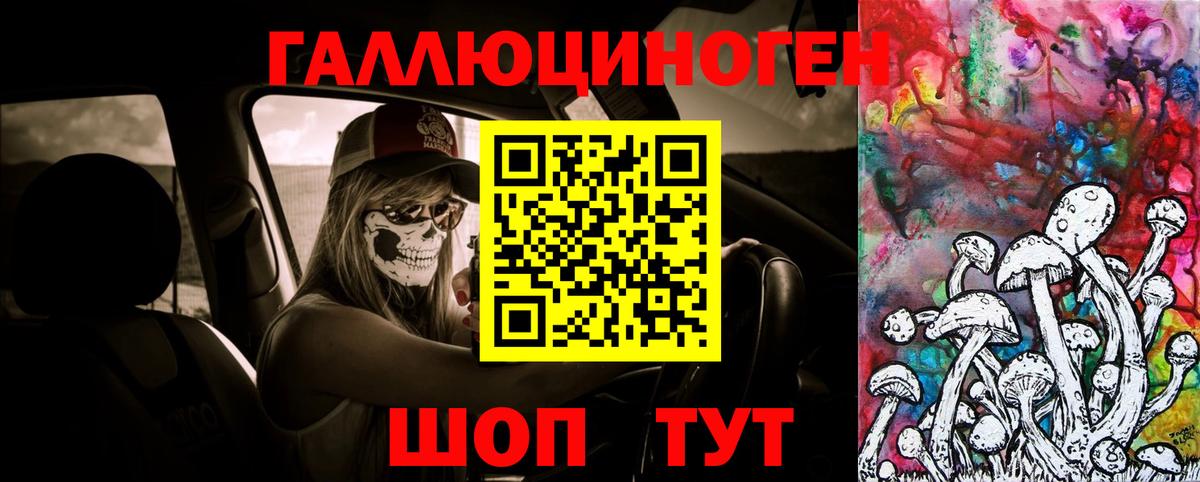 Галлюциногенные грибы Psilocybine cubensis  Вход с VPN  Гатчина 